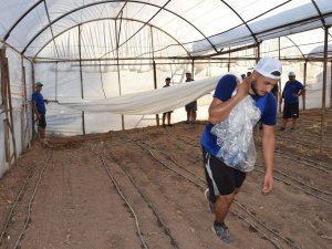 Toprak Sıcaklığını 100 Dereceye Çıkarıp Doğal Dezenfekte Sağlıyorlar