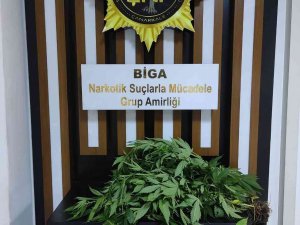 Çanakkale’de Uyuşturucu Operasyonlarında 109 Gözaltı