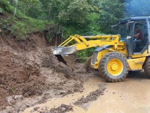 Ordu’da Kuvvetli Yağışın Bilançosu: 336 Heyelan