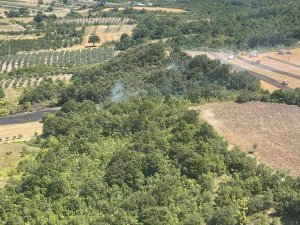 Mustafakemalpaşa’da Orman Yangını