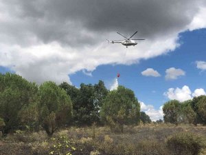 Kırklareli’nde Ormanlık Alanda Çıkan Yangında 5 Dekar Zarar Gördü