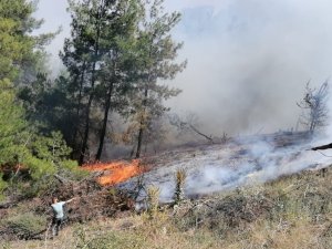 Manisa’daki Orman Yangınında Ekip Sayısı Artırılıyor