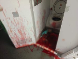Meksika’da Uçak Acil İniş Yapmak Zorunda Kaldı