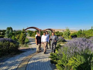 Afşin Lavanta Üretim Merkezi Oluyor