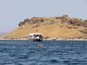 Yüzücüler Kuzu Adası’ndan Akdamar’a Kulaç Açtı