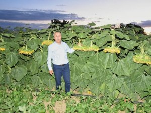 Yenişehir Belediyesinden Jet Hızıyla ’Tırtıl’ Operasyonu