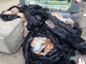 İ̇srafın Böylesi: 15 Poşet Ekmeği Çöpe Bıraktılar