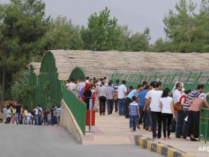 Gaziantep Doğal Yaşam Parkı 9 Günde 225 Bin Ziyaretçiyi Ağırladı