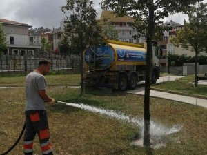 Çekmeköy Belediyesinden, İ̇bb Ekiplerinin Park Alanına Müdahale Çabası Ve İddialar Hakkında Açıklama