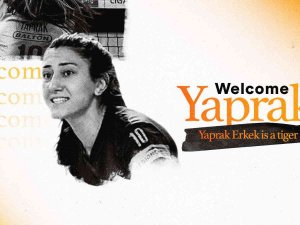 Yaprak Erkek, Eczacıbaşı Dynavit’te