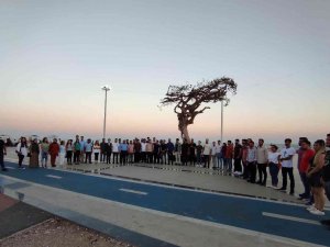 Ak Partili Gençlerden Mersin’deki Ağaç Katliamına Tepki