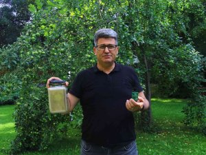 Bitki Koruma Profesörü, Çayır Tırtılı Zararlısına Karşı Çözüm Yolu Üretti