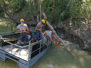 Sel Sonrası Bartın Irmağı’nda Ağaç Temizliğine Başlandı