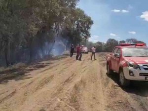 Tekirdağ’da Orman Yangını Kontrol Altına Alındı