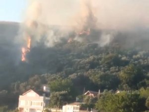 Bursa’da Korkutan Orman Yangını