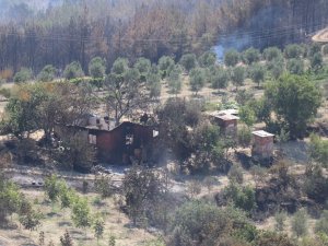 Manisa’daki Orman Yangınıyla İlgili 2 Kişi Tutuklandı
