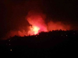 Karacasu’da Orman Yangını Büyümeden Söndürüldü