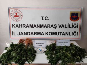 Kenevir Ve Sentetik Uyuşturucu Operasyonunda 1 Gözaltı