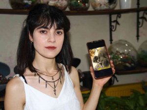 Çalınan Kedisi İçin Seferber Oldu, Geri Getirirlerse Şikayetçi Olmayacak