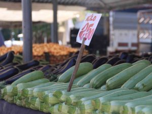 Pazardan, 3,1 Milyon Tl Tohum Yatırım Aldı