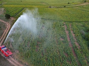 Türkiye’de İlk Kez Çayır Tırtılıyla Mücadelede Kullanıldı