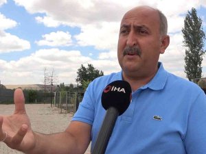 Her Ay 100’ün Üzerinde Köpek Bırakılınca, "Yalvarıyorum" Diyerek Çağrıda Bulundu