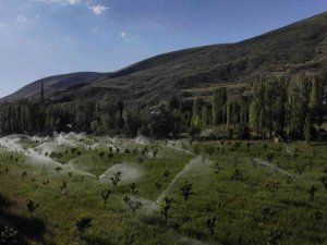 İ̇lçe Tarım Müdürlüğü’nden “Gece Sulaması” Uyarısı