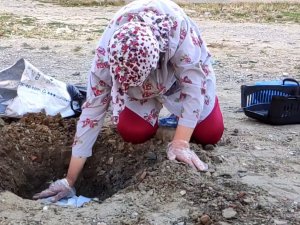 Pompalı Tüfek İle Öldürülen Kedisi İçin Ağladı