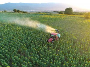 Tırtıl Basan Tarlalara, İ̇negöl Belediyesi’nden Anında Müdahale