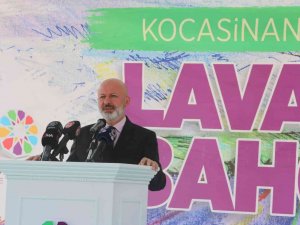 Kayseri, Lavanta Bahçesine Dönüşüyor