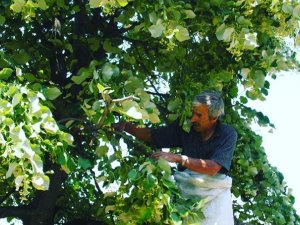 Düzce, Ülke Ekonomisine Katkı Verdi