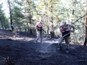 Ormanlık Alanlara Girişler 31 Ağustos’a Kadar Yasaklandı