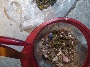 Uyuşturucu Baskınında Sifon Sesi Yakayı Ele Verdi