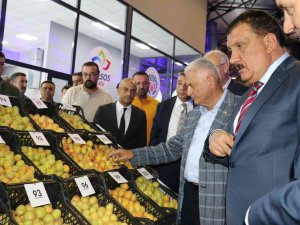 Binali Yıldırım En Güzel Kayısıların Bulunduğu Standı Gezdi