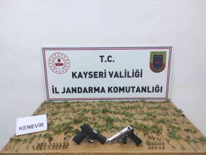 Kenevir Yetiştiren Şahıslara Gözaltı