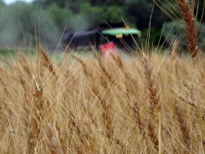 Yozgat’ta Hububat Hasat Günü Etkinliği Düzenlendi