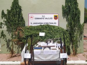 Osmaniye’de Uyuşturucu Operasyonuna 1 Tutuklama