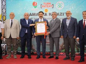 Amasya Kirazına Coğrafi İşaret