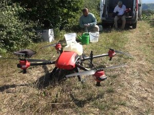 Yalova’da Çayır Tırtılı İle Dronlu Mücadele