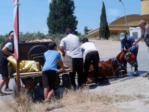 Bunaltıcı Sıcakta Yük Ve İnsan Taşıyan At, Yere Yığıldı Zor Anlar Yaşadı