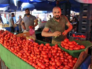 Salçalık Domatesler Tezgahlara İndi