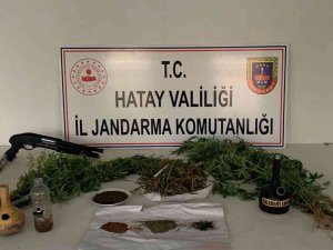 Evinde Kubar Esrar Yetiştiren Şüpheli Gözaltına Alındı