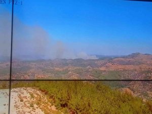 İ̇zmir Seferihisar’da Orman Yangını