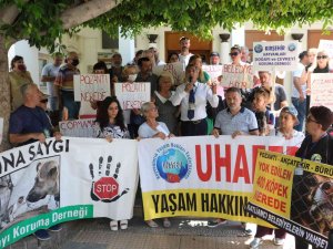 Hayvanseverler 400 Köpeğin Akıbetini Sordu