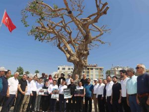 Mersin’de Yarım Asırlık Ağacın Kurutulmasına Tepkiler Sürüyor