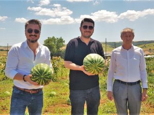 Karpuz Şenliği Hazırlıkları Tam Gaz Sürüyor