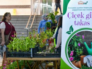 Başkentte ‘Çiçeğim Takas’ Uygulaması Devam Ediyor