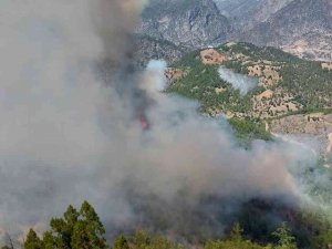 Adana’da Orman Yangını