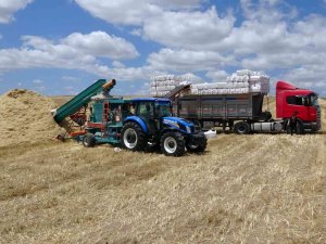 Yozgat’ta Saman Balyası Mesaisi Başladı