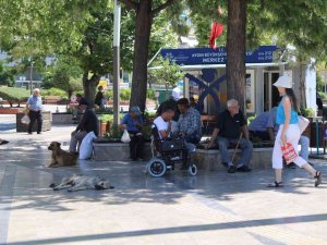 Sıcağı Gören Parklara Koştu